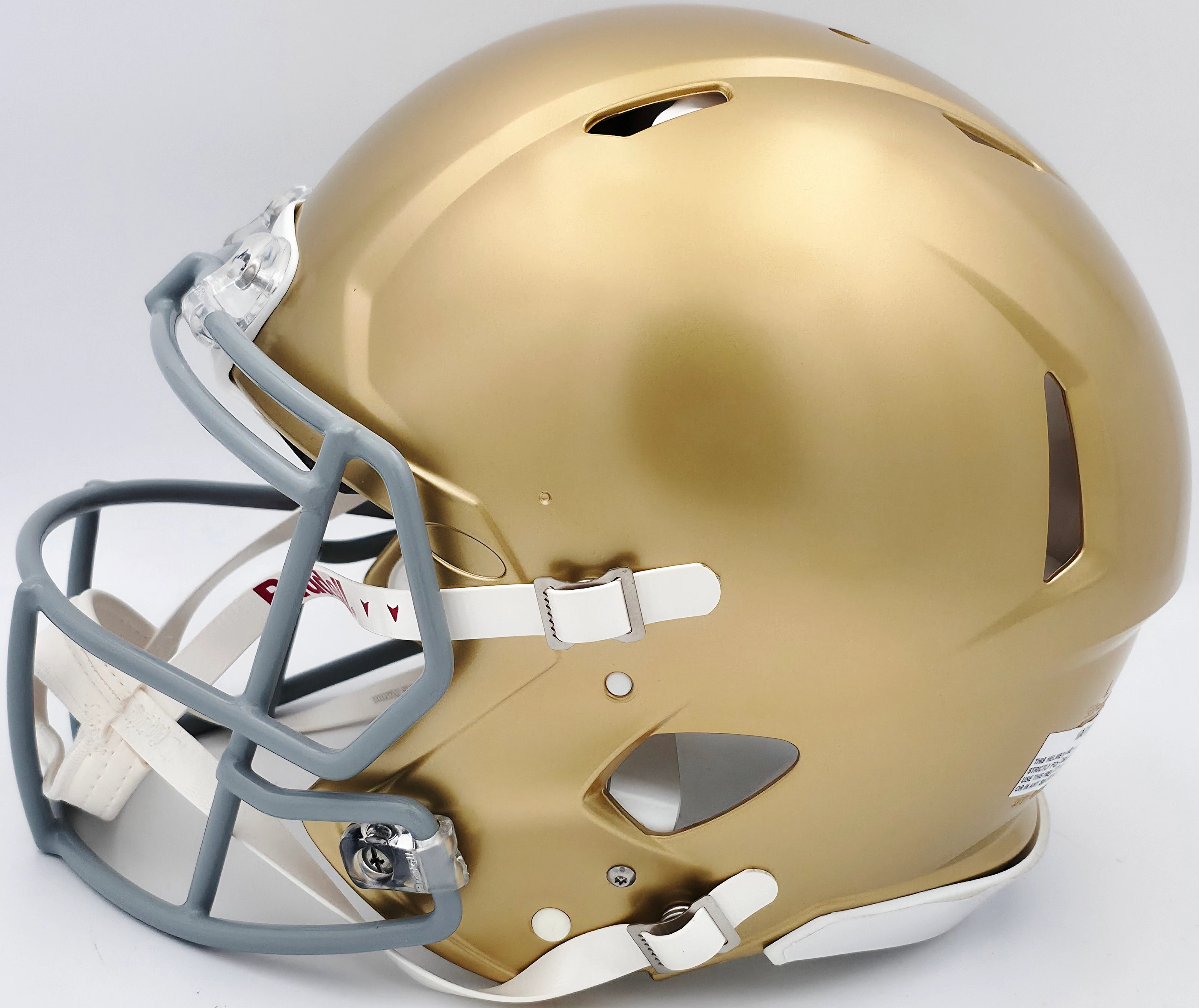 Notre Dame Fighting Irish Rudy Ruettiger Autographed Riddell Full Size Authentic Speed Helmet w/ Full Movie Speech - Beckett BAS Witness COA