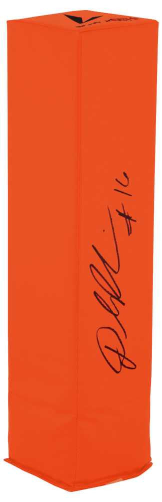 Denard Robinson Signed BSN Orange Football Endzone Pylon - Schwartz Authenticated
