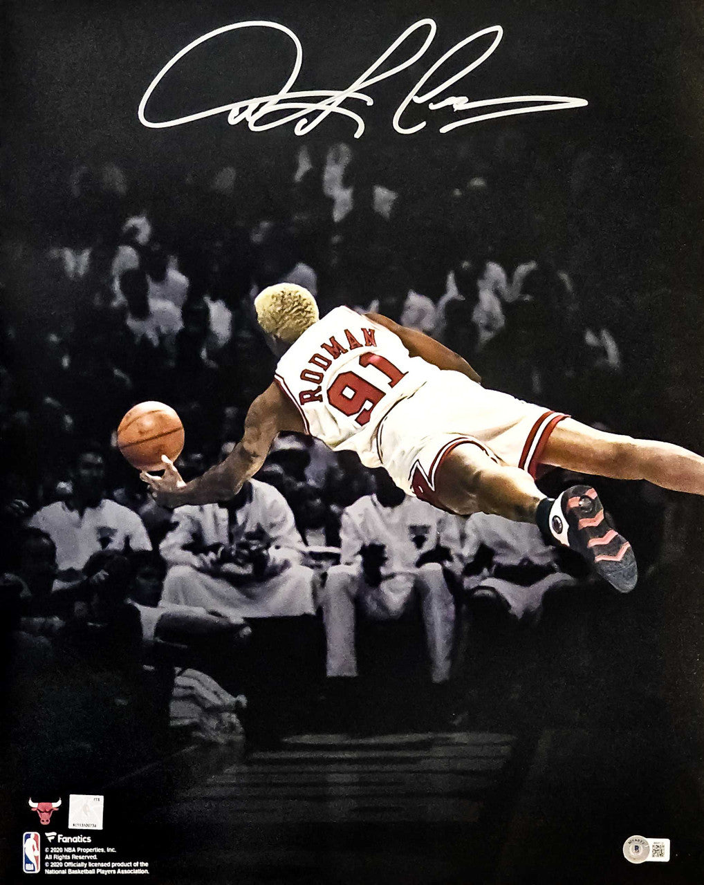 Dennis Rodman Autographed 16x20 Photo Chicago Bulls Beckett BAS Witness