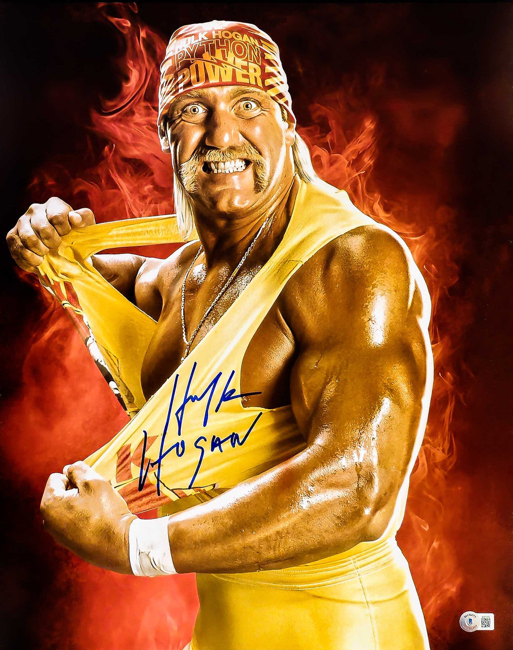 Hulk Hogan Autographed 16x20 WWE Photo – BAS QR