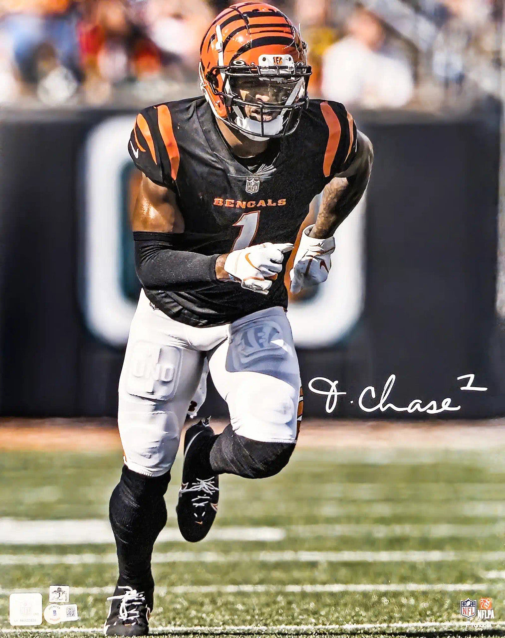 Ja'Marr Chase Autographed 16x20 Photo Cincinnati Bengals Beckett BAS Witness