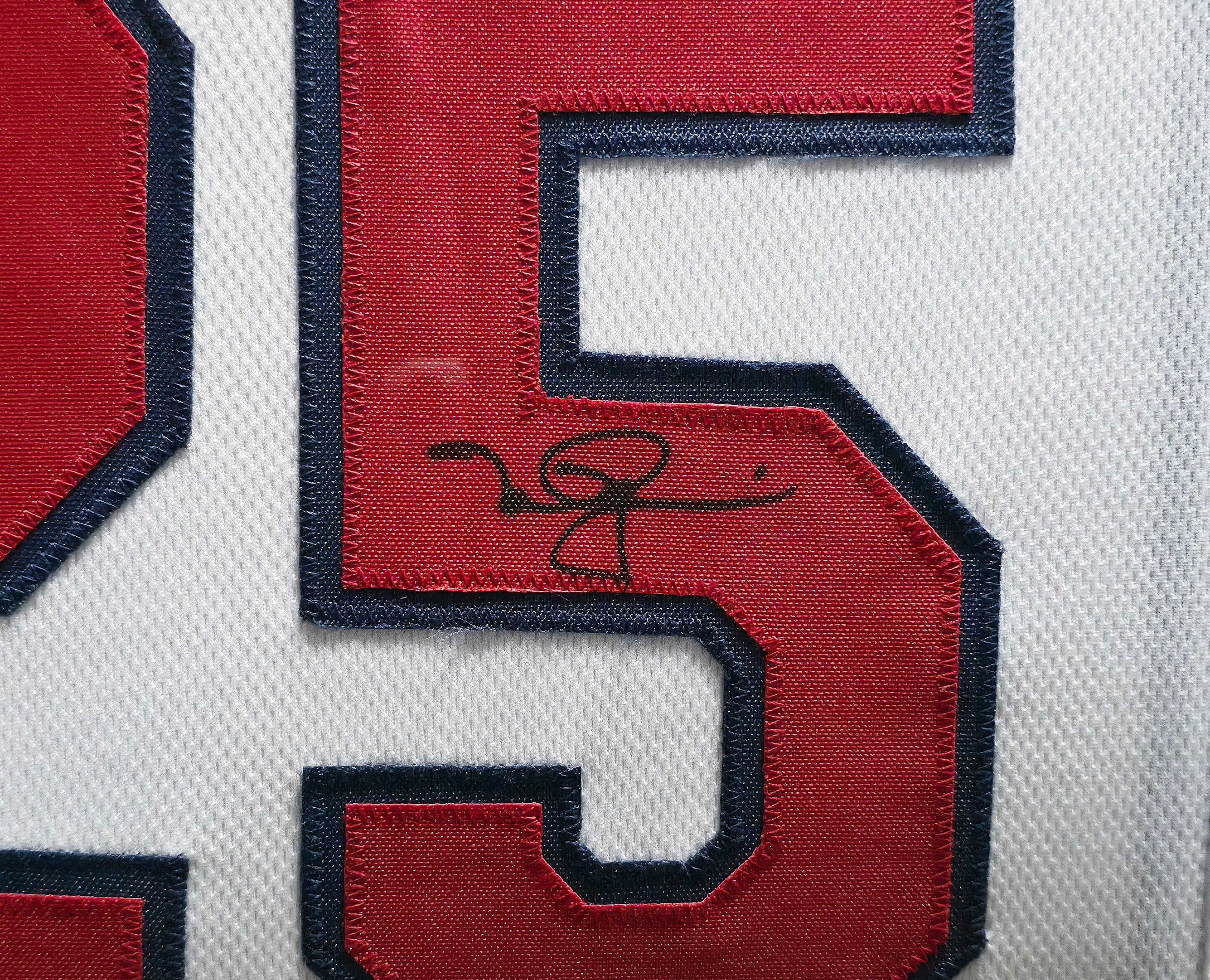 Mark McGwire & Sammy Sosa Dual Signed Framed Red White Blue Jersey | Beckett BAS Witness